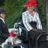 Two New Carriage Classes At Germantown Charity Horse Show